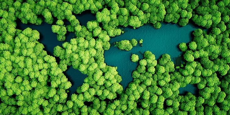 The Green Case for Going Paperless: How Document Scanning Reduces Your Carbon Footprint