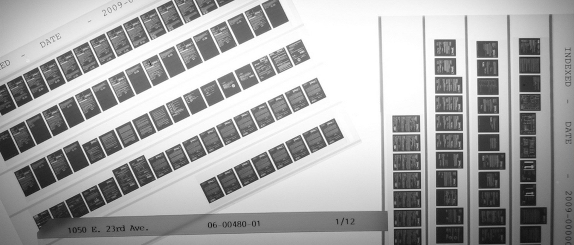 Microfiche sheets ready for scanning