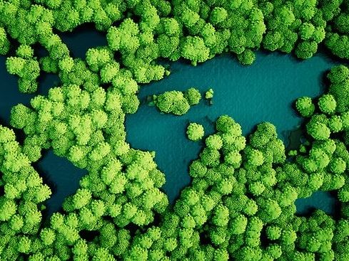 The Green Case for Going Paperless How Document Scanning Reduces Your Carbon Footprint